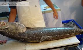 CORVINA  FRESCA