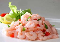 CAMARON 100/150 KILO