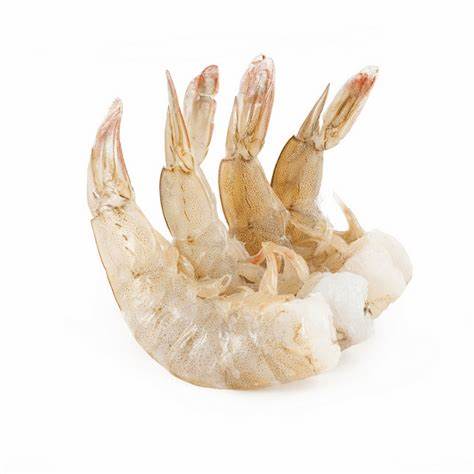 CAMARON CON CASCARA 21/25 1 KG